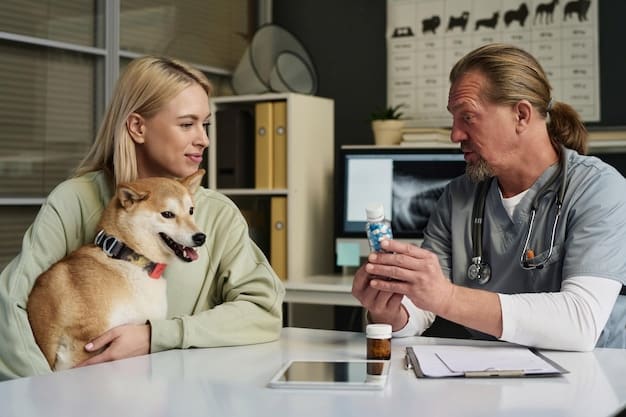 A veterinarian giving a treat to a dog, discussing medication options with the dog's owner in a vet clinic. The atmosphere is calm and professional.