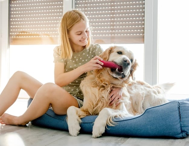 Resource Guarding in Dogs: Safely Managing It in 2025