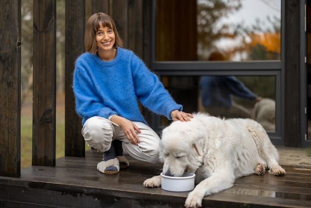 A dog being trained with positive reinforcement. The dog is sitting calmly while a human approaches its food bowl and drops a treat into the bowl. Both the dog and human appear relaxed and happy.
