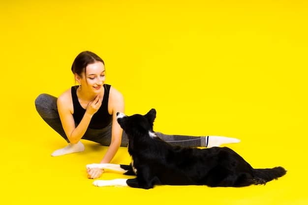 A person is shown holding a dog treat close to his smiling dog's face while the dog has all four paws relaxed on the floor. The dog looks like a yellow lab.
