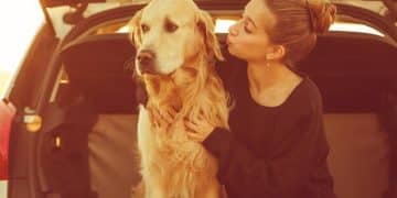 Car Ride Anxiety: 5 Steps to Stress-Free Dog Trips - Cover Image