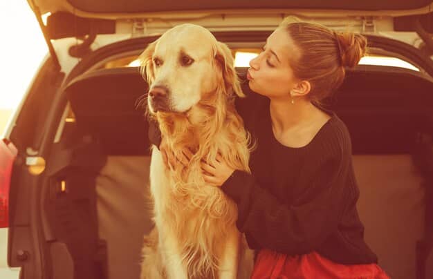 Car Ride Anxiety: 5 Steps to Stress-Free Dog Trips