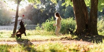 Dog Park Etiquette: Teach Your Dog to Play Safe and Have Fun - Cover Image