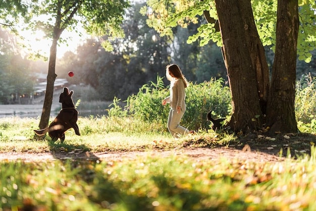 Dog Park Etiquette: Teach Your Dog to Play Safe and Have Fun