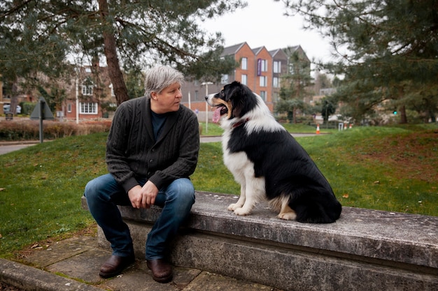 A border collie is sitting attentively on a park bench, looking up at its owner who is holding a treat. The dog is wearing a training collar, and the background shows other dogs playing in the distance.