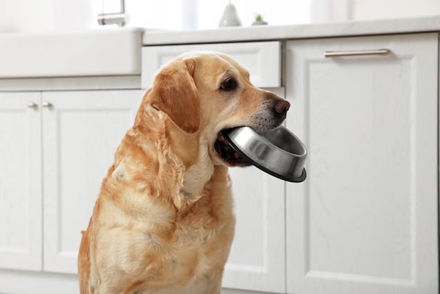 Food Aggression: A Comprehensive Guide to Stop It