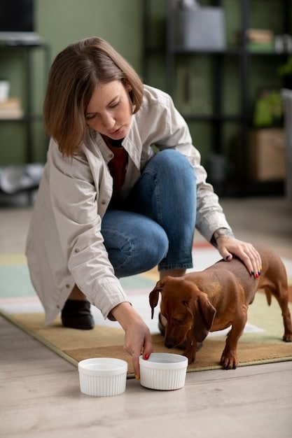 A dog trainer kneeling and gently approaching a dog's food bowl, with the dog displaying a calm posture and relaxed expression. The dog trainer is holding treats, and the setting is a bright and open training space.