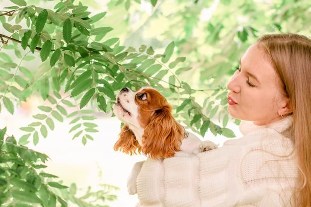 A woman gently holding a beagle puppy's face and offering a treat. The image conveys a sense of positive reinforcement and training in a calm environment.