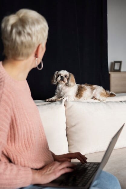 A senior dog with a gray muzzle looking confused while standing in the middle of a living room, with a concerned owner observing from a distance.