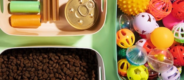 A close-up shot of a variety of durable, high-quality dog toys from a subscription box, focusing on different textures and materials.