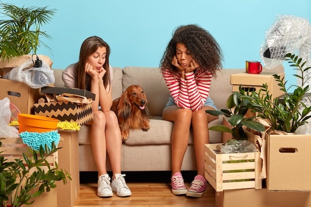 A split image showing, on one side, a pet owner happily unboxing a new subscription box filled with toys, and on the other side, the same owner comparing the individual prices of similar toys online.