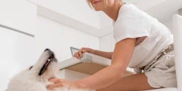 Top 5 Cat Litter Box Cleaning Gadgets: Reviews & Tips for US Pet Owners - Cover Image