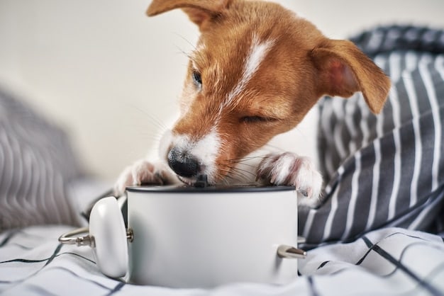 Smart Pet Feeders in 2025: Are They Worth the Hype?