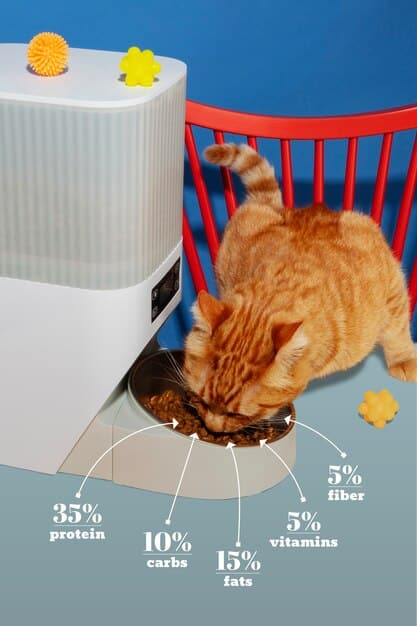 A close-up of a smart pet feeder's control panel, showing the settings for scheduling meals and portion sizes. The screen is bright and easy to read.