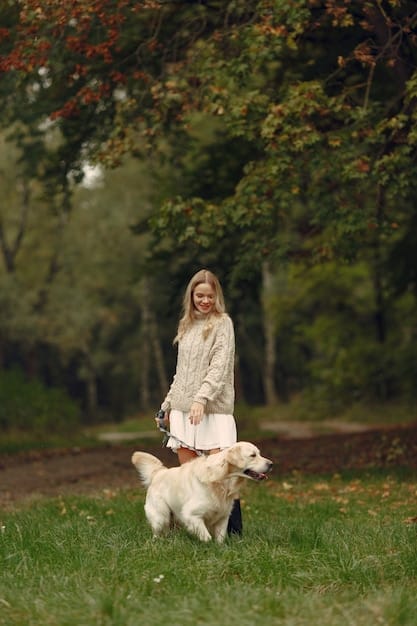 The Ultimate Guide to Dog Leashes: Reviews & Safety Tips
