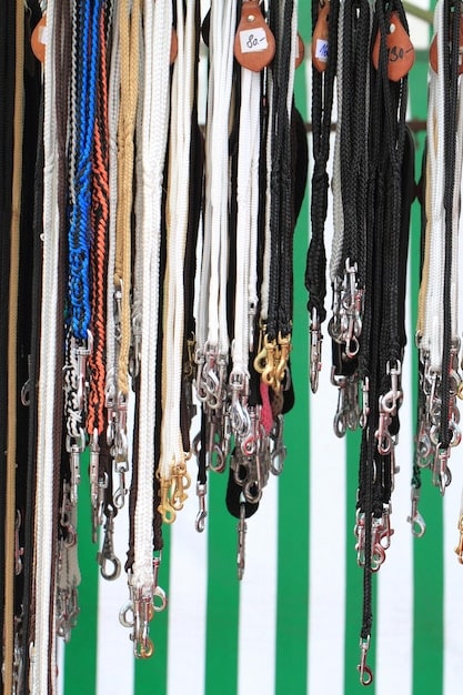 A close-up shot of various dog leash types hanging on a store display. The image includes nylon leashes in different colors, a leather leash, and a retractable leash. The focus is on the different materials and hardware used in each type.
