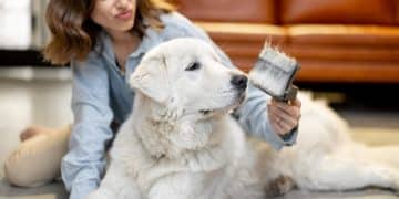 Debunking Pet Grooming Myths: Expert Shampoo & Clipper Reviews - Cover Image