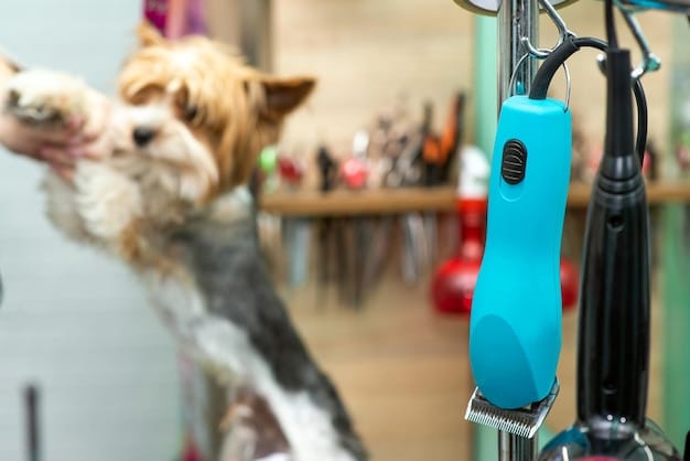 A set of professional-grade pet clippers with various attachments, laid out on a grooming table with a freshly groomed dog in the background.