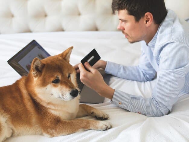A veterinarian giving a dog a chewable flea and tick prevention tablet. The dog is looking up at the vet attentively, and the setting is a clean and well-lit examination room.