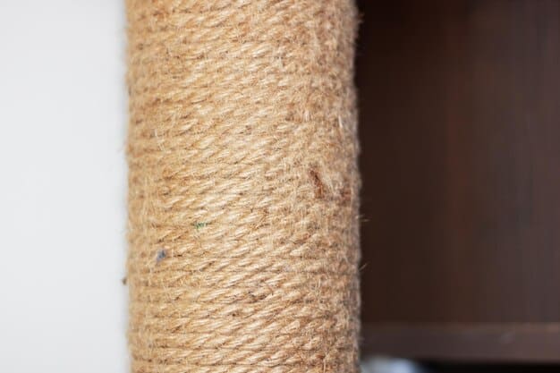 A close-up of a cat scratching post wrapped in durable sisal rope, showing the texture and how it withstands scratching. A cat's paw is visible, demonstrating active use.