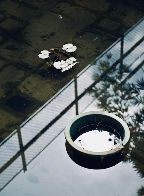 A split image. On the left, a dirty, stagnant water bowl. On the right, a clean, flowing automatic pet fountain. The contrast highlights the benefits of the fountain.