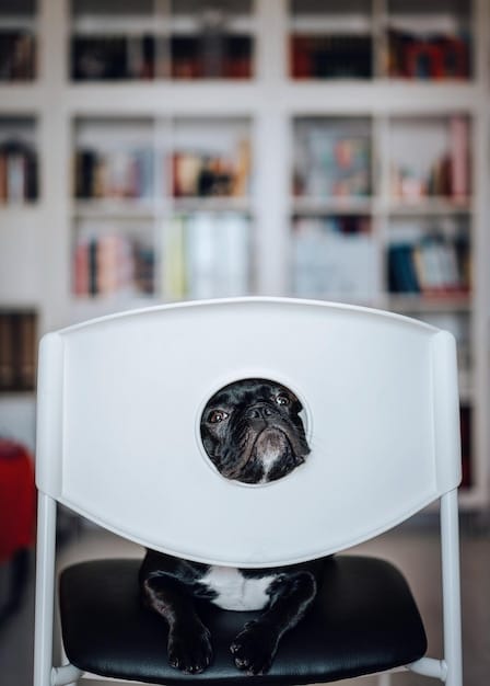 A close-up shot of a pet camera mounted on a shelf, focusing on its lens and microphone. The background is blurred, showcasing a living room setting.