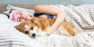 Top Calming Aids for Anxious Pets in 2025: Product Review - Cover Image