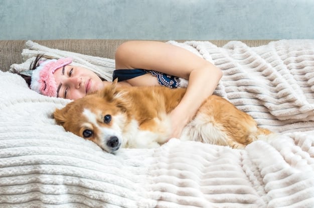 Top Calming Aids for Anxious Pets in 2025: Product Review