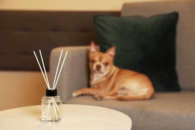 An essential oil diffuser emitting mist in a living room alongside a dog bed. The dog is lying on the bed looking relaxed.