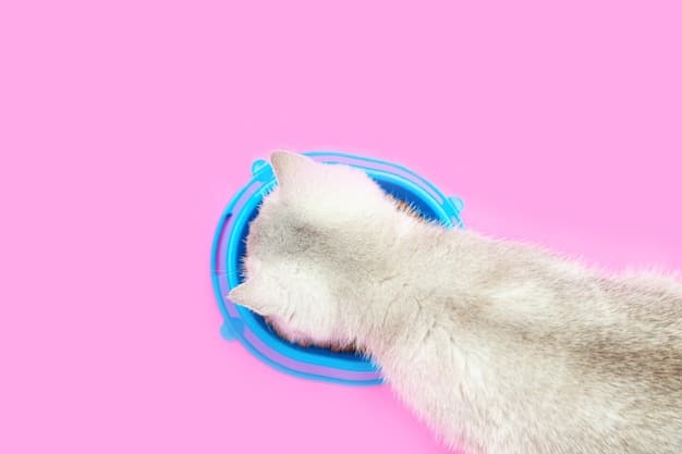 A close-up shot of a cat using its paw to maneuver a puzzle feeder toy. The toy is brightly colored, and the cat is actively engaged, trying to get the treats out of the puzzle. The background is slightly blurred, focusing attention on the cat and the toy.