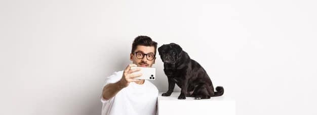 A split image showing a happy dog on one side and a worried pet owner looking at a bill on the other side, symbolizing the cost concerns related to pet medication.