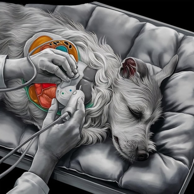 A detailed illustration of a dog's heart infected with heartworms, highlighting the severity of the infestation.