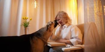 Canine Cognitive Dysfunction: Spotting Early Signs & Management in 2025 - Cover Image