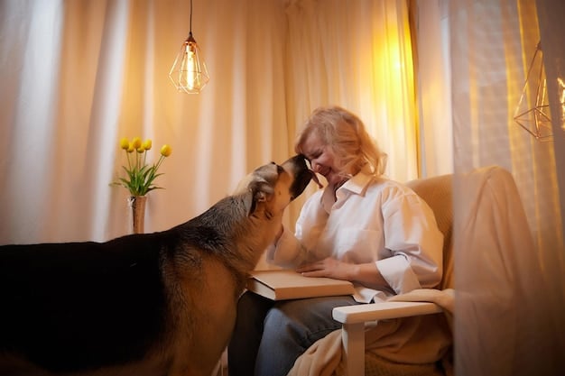 Canine Cognitive Dysfunction: Spotting Early Signs & Management in 2025