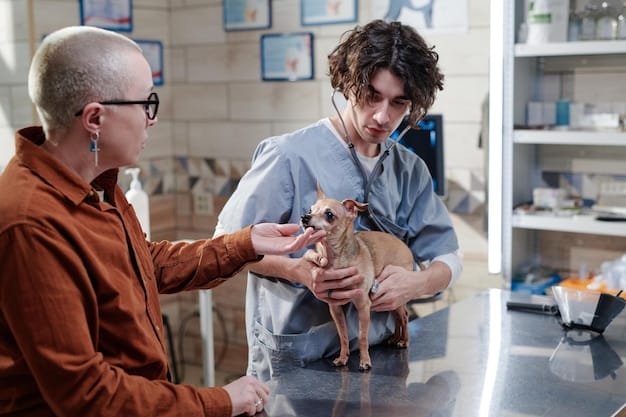 A veterinarian explaining treatment options and management strategies to a concerned pet owner, emphasizing the collaborative approach to caring for a dog with canine cognitive dysfunction.