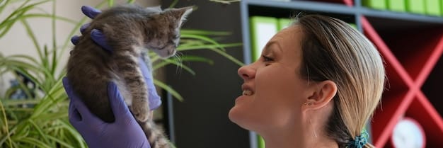 A veterinarian gently examining a cat's neck, focusing on the thyroid area, possibly during a palpation to check for enlargement. The cat appears calm and cooperative during the examination, in a well-lit veterinary clinic.