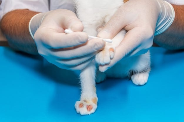 A veterinarian drawing blood from a cat's leg for diagnostic testing in a clinic. The vet is wearing gloves, and the cat is calm and comfortable on the examination table.