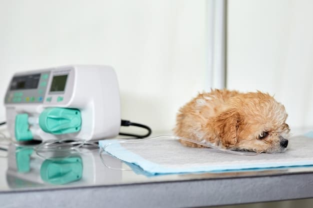 A puppy looking weak and dehydrated, lying on a vet clinic examination table. The puppy is surrounded by veterinary equipment, emphasizing the medical attention it requires.