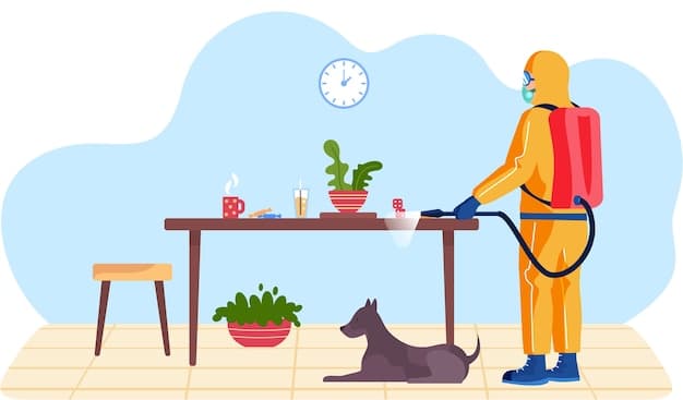 A person wearing gloves and using a disinfectant spray to clean a surface in a dog-friendly area. The focus is on the act of thorough cleaning and the use of protective gear.