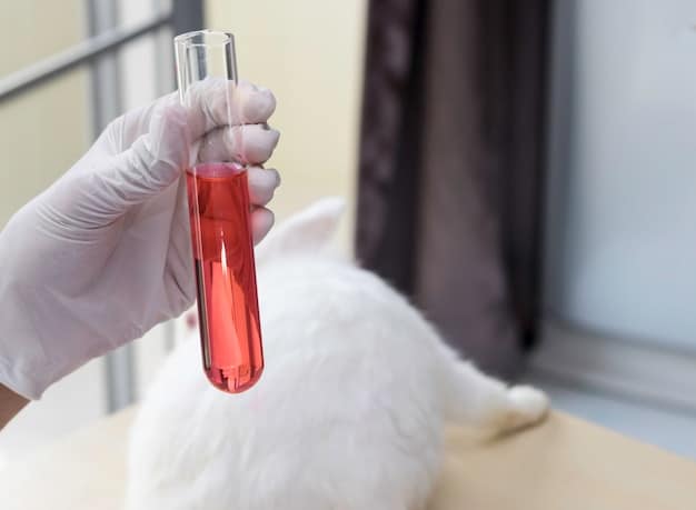 A veterinary laboratory setting where a technician is analyzing a cat's blood sample. Various lab equipment and vials are visible in the background, highlighting the diagnostic process for kidney disease.