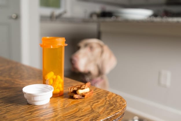 Poison Prevention: Keep Your Pet Safe from Household Hazards
