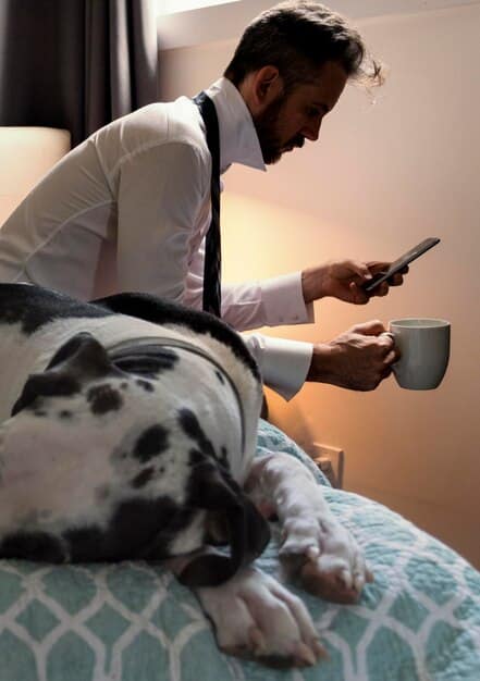 A concerned pet owner observing their dog, showcasing common symptoms of poisoning like vomiting and lethargy.
