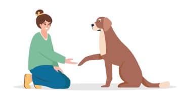 Emergency First Aid for Pets: CPR, Bleeding, and Choking - Cover Image