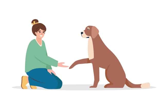 Emergency First Aid for Pets: CPR, Bleeding, and Choking