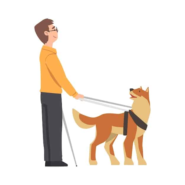 A person demonstrating the Heimlich maneuver on a dog. The dog is standing, and the person is wrapping their arms around the dog's abdomen, positioning their fist just behind the rib cage.