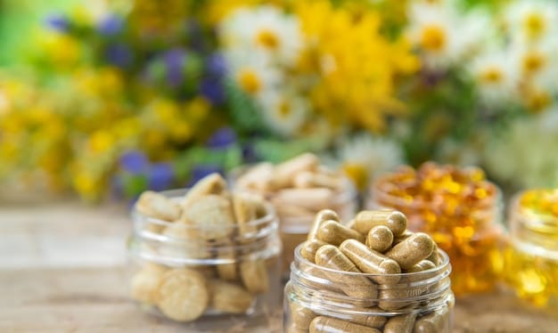 Pet Supplements: What Works and What’s a Waste of Money?