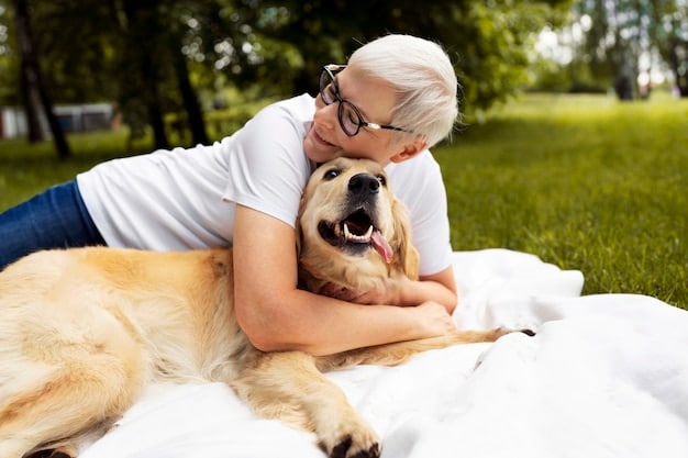 An older golden retriever, looking happy and relaxed, receiving gentle petting from its owner. The scene is set in a comfortable living room, creating a warm and caring atmosphere. The dog is lying on a soft dog bed.