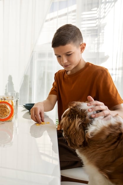 A vet administering an oral probiotic paste to a small dog, while the attentive owner watches calmly. The setting is a clean and modern veterinary clinic.