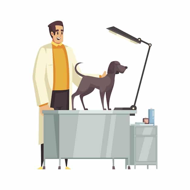 Cancer in Pets: Types, Treatments, and Prognosis Explained