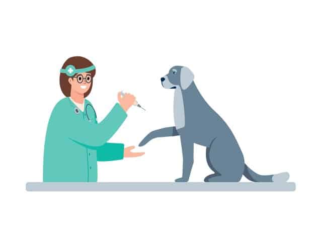 An illustration of a veterinarian demonstrating how to administer eye drops to a dog. The veterinarian is gently holding the dog's head and carefully applying the medication. The illustration is clear and informative.